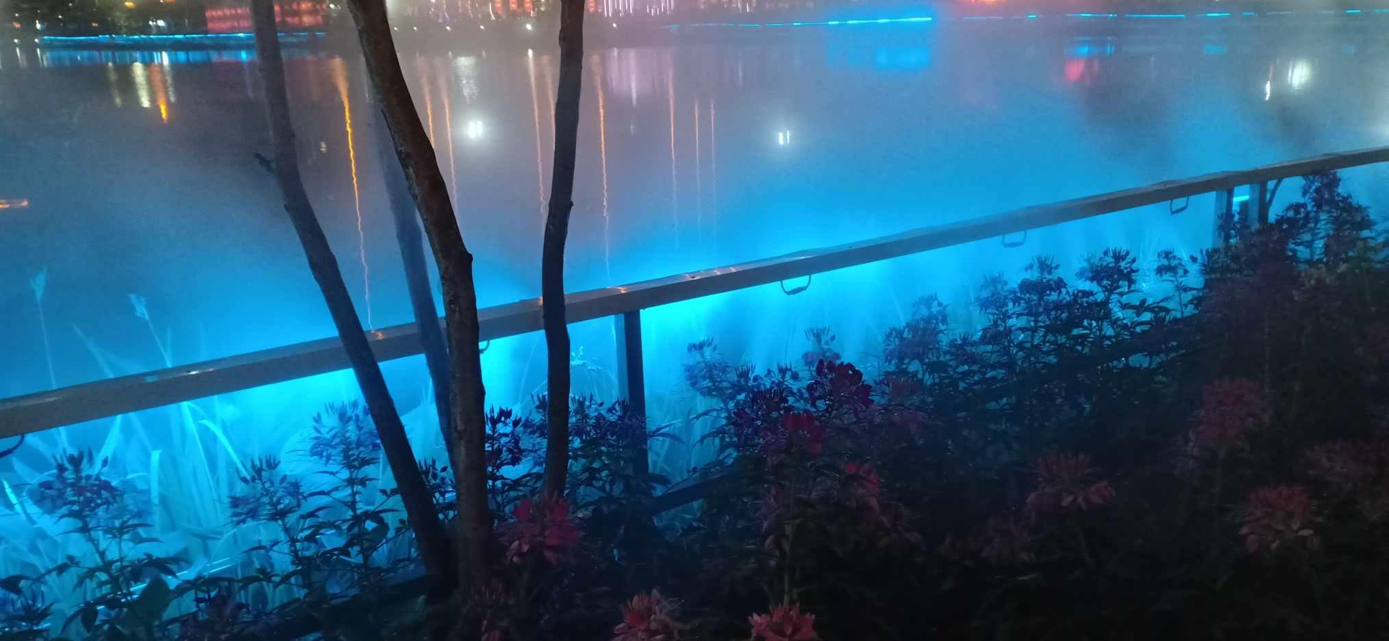 发小的模样，都“富态”了，但巷子里的烧烤摊，还是那么朴实